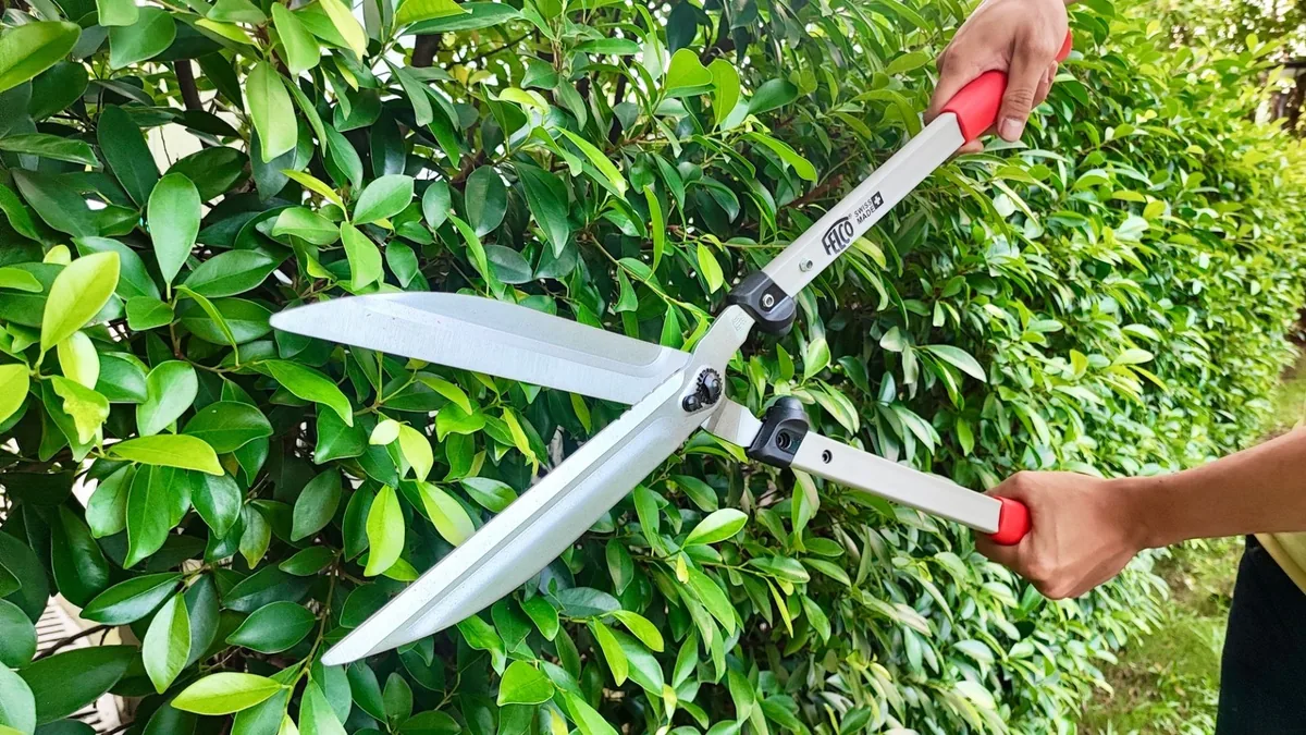 Kéo cắt cành hai tay