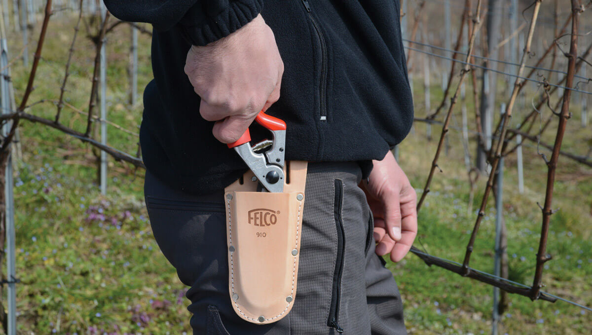 bao da cho kéo tỉa cành