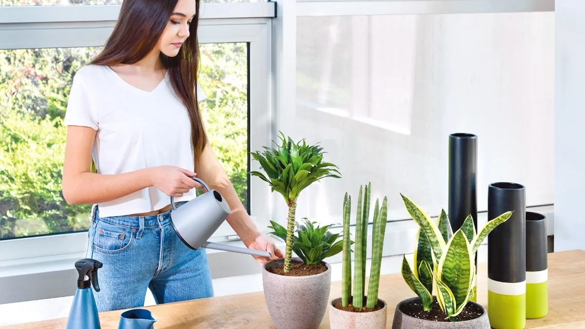 Bình tưới nước vòi thẳng Epoca 8230