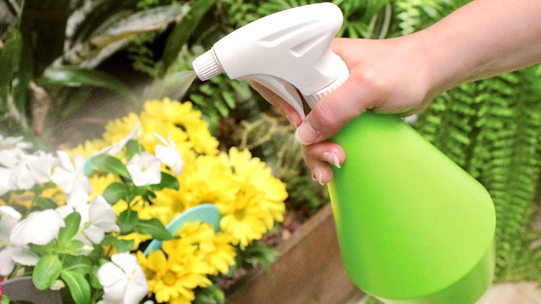 Bình xịt 0.5 lít phun sương, tưới cây Epoca 8421 Star 50