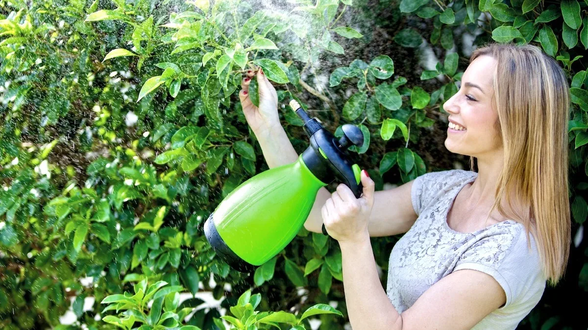 Bình xịt 2 lít tưới cây có bec phun bằng đồng thau EPOCA Galaxia 2