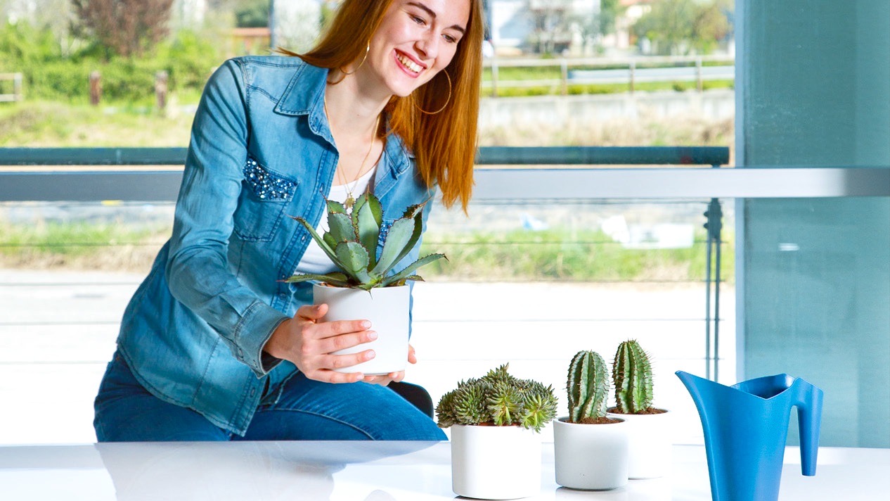 Ca tưới nước 1 lít dùng trong nhà Lucy Marine