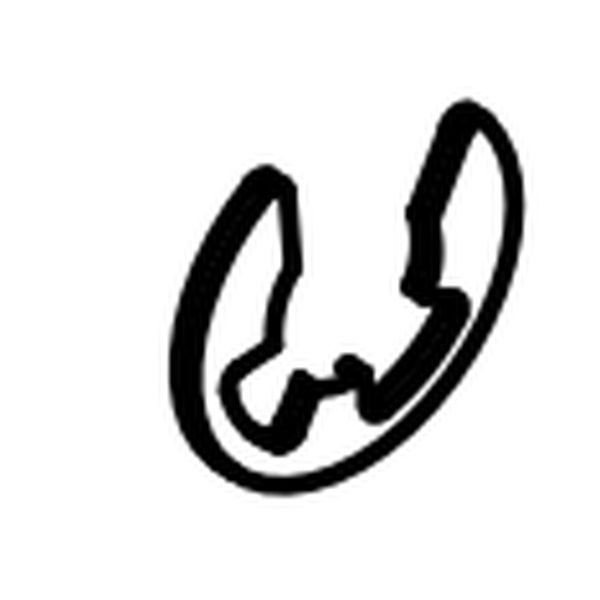 Spindle washer. Euroboor 020.0132 - 55, mm (metric)