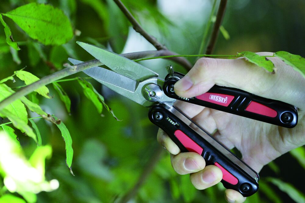 Đồ đa năng DBST trong trình bày BESSEY DBST-Display - 215x330x300 thumbnail 5