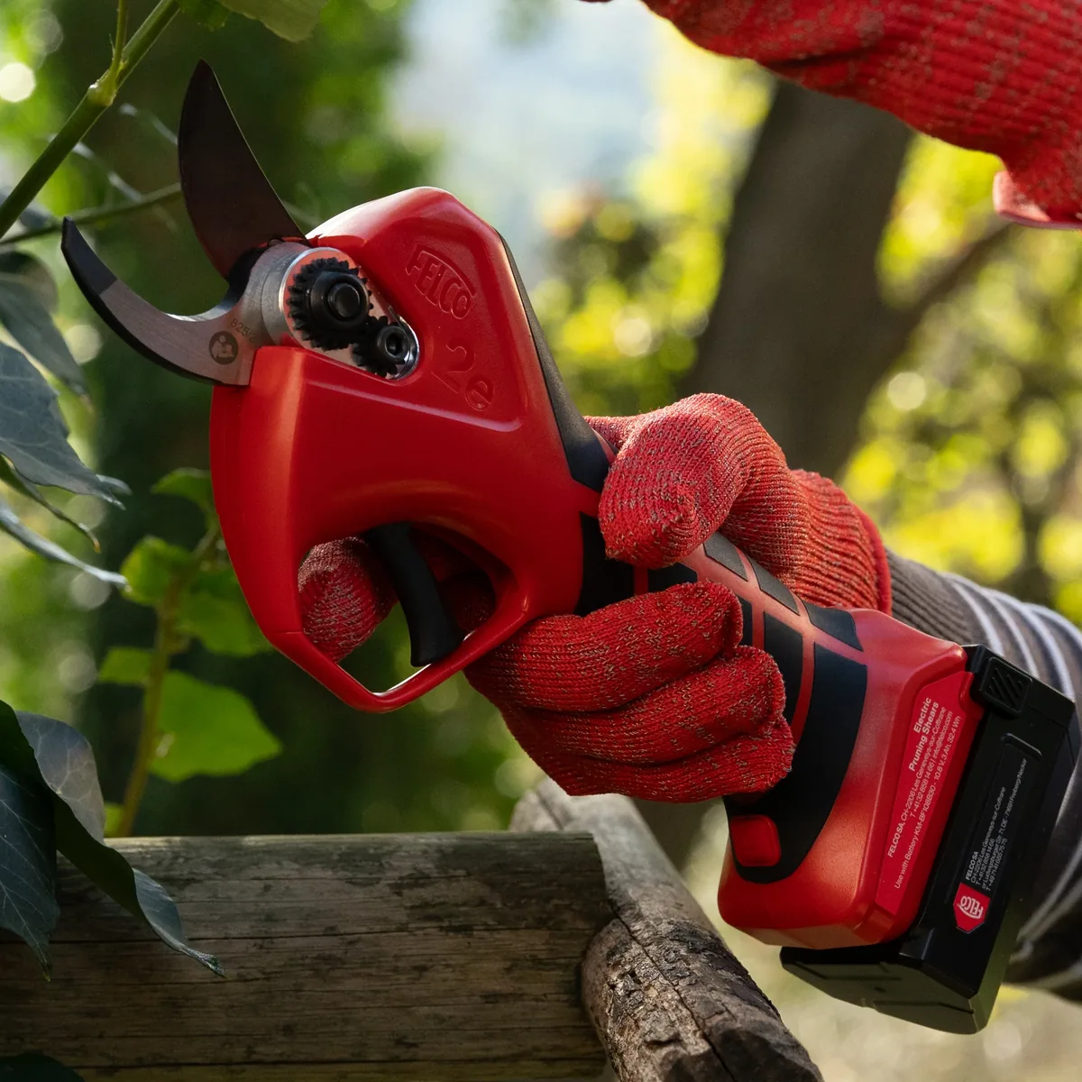 Bộ máy cắt cành FELCO 2E thumbnail 4