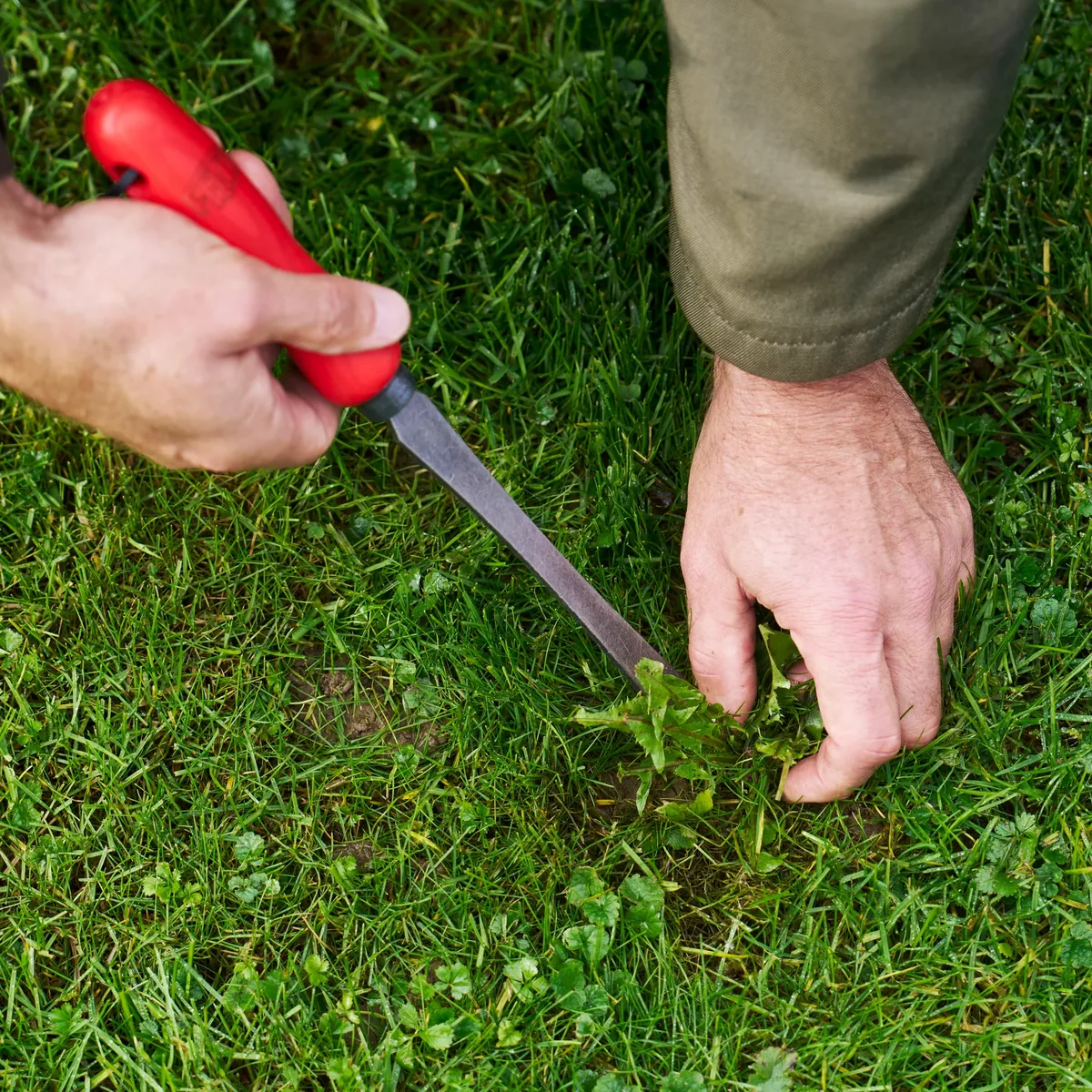 Deep weed remover FELCO 442 forged boron steel blade thumbnail 3