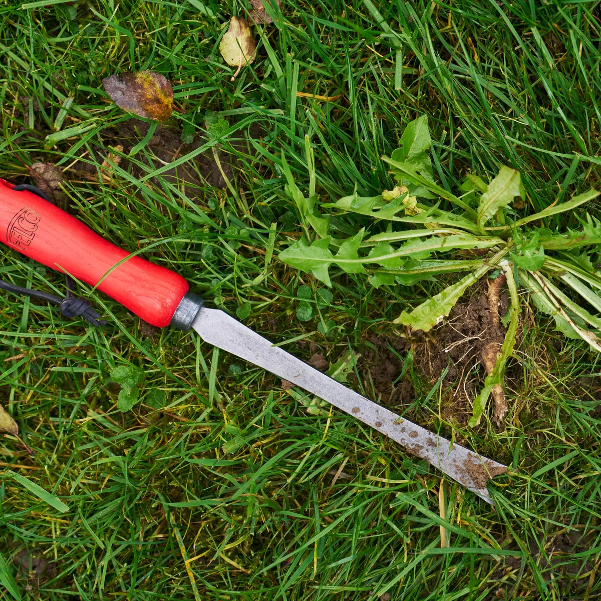 Deep weed remover FELCO 442 forged boron steel blade thumbnail 4