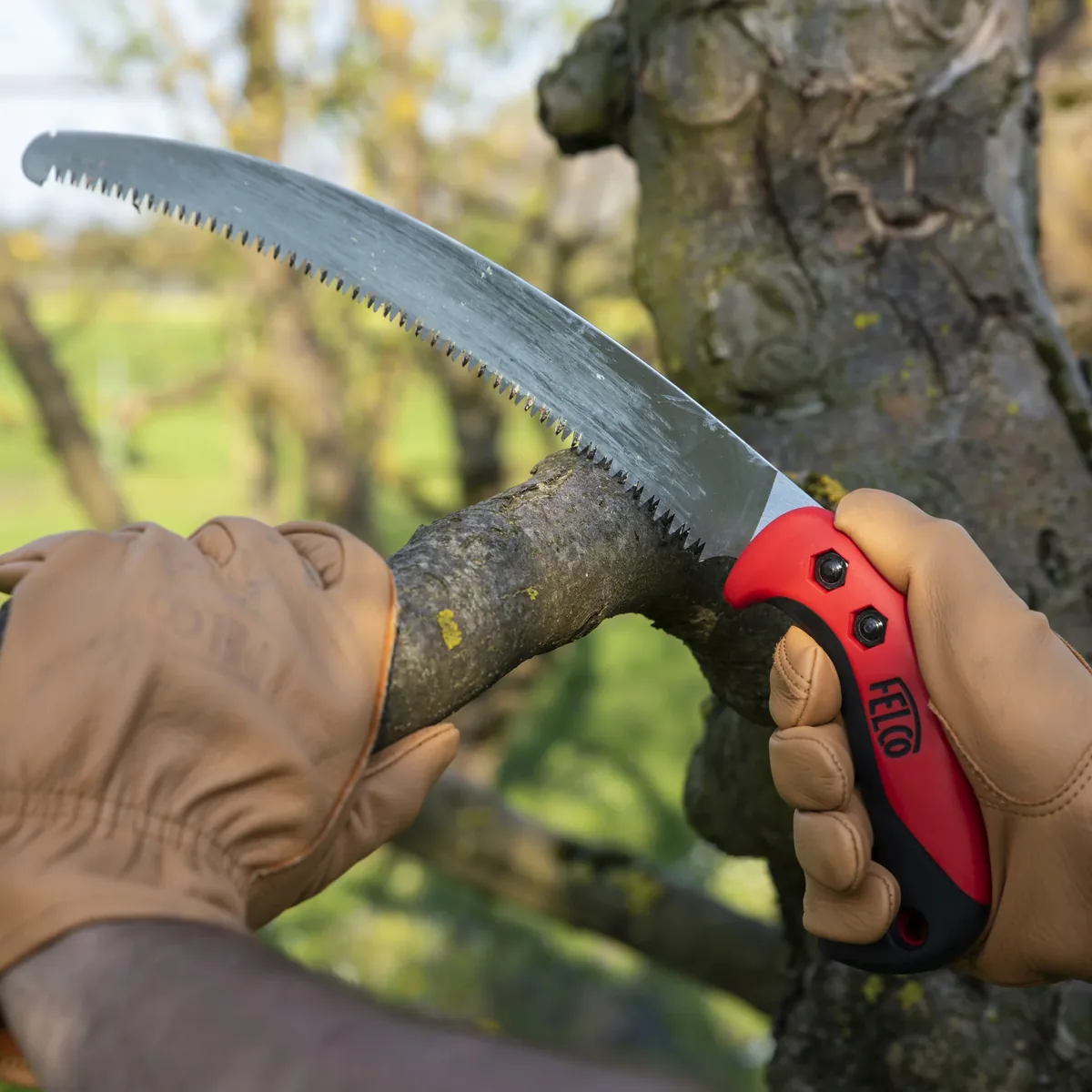FELCO 703 thumbnail 2