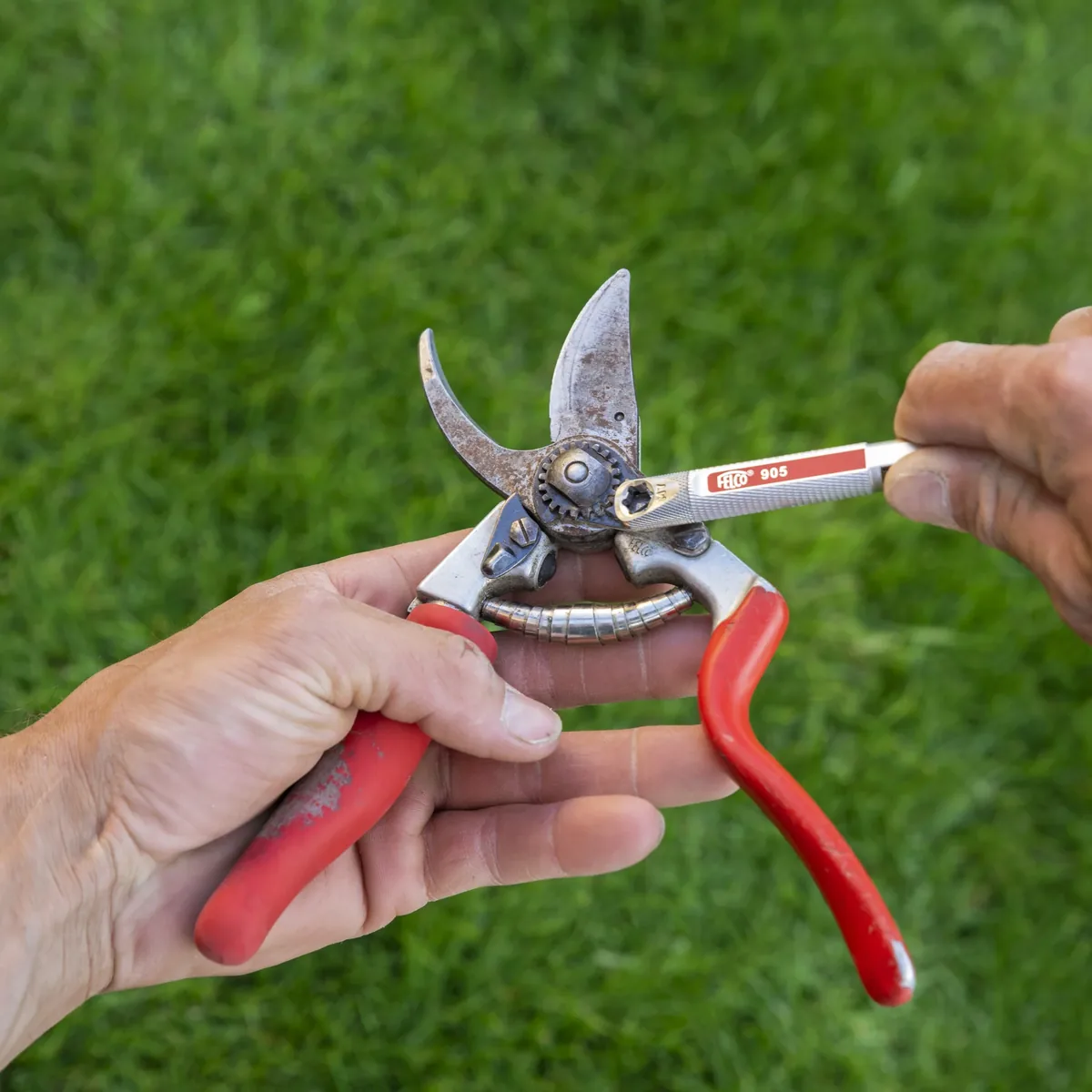 Dụng cụ mài và điều chỉnh FELCO 905 thumbnail 4