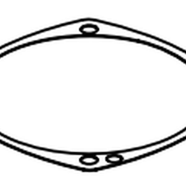 Gasket. Euroboor 032.0125 - 55, mm (metric)