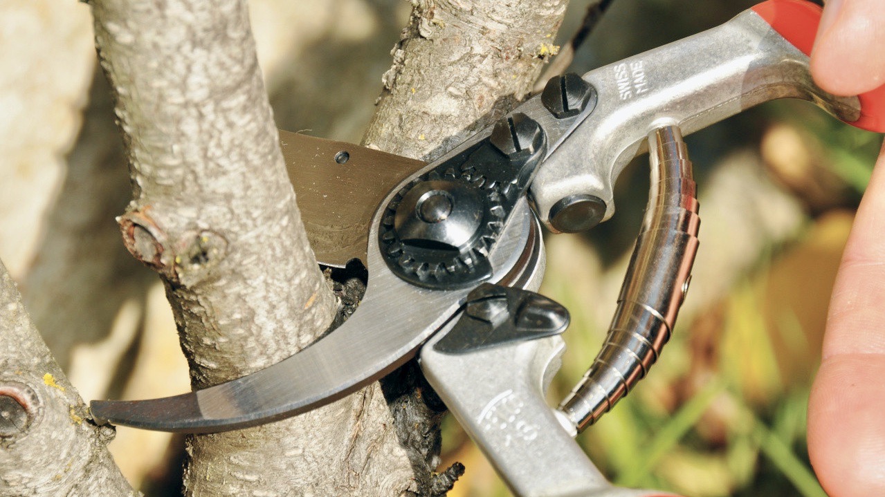 FELCO 13 kéo cắt tỉa cành dùng 1 hoặc 2 tay