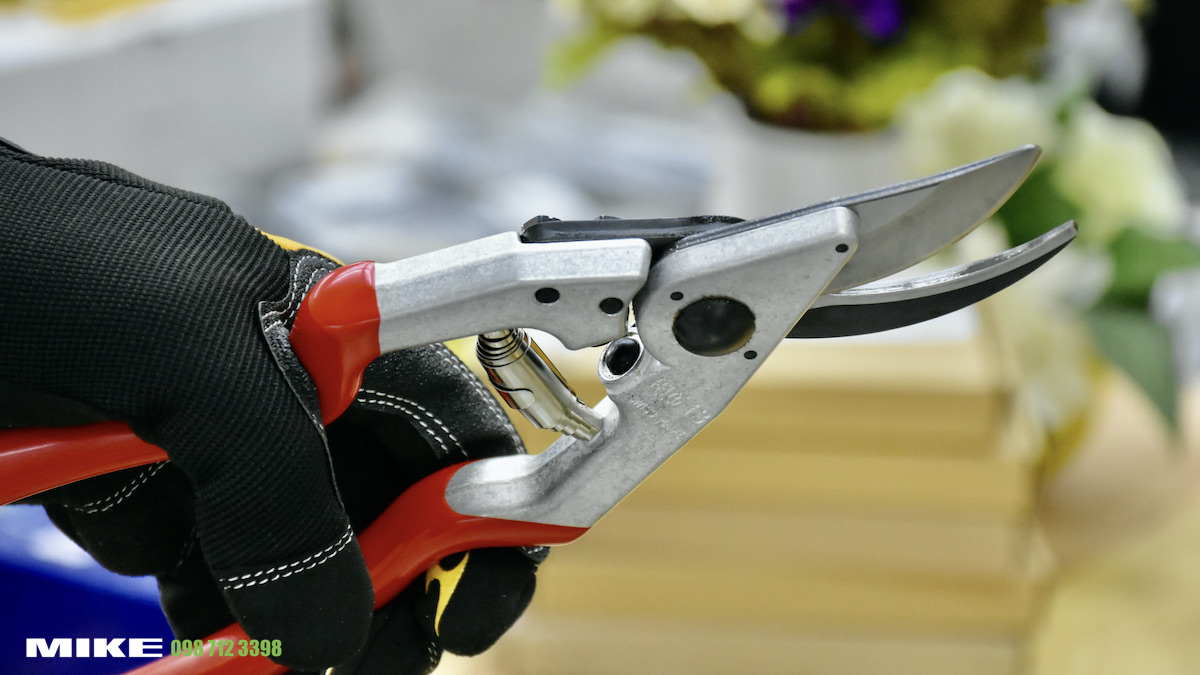 Hướng nhìn từ trên của pruner share FELCO 13