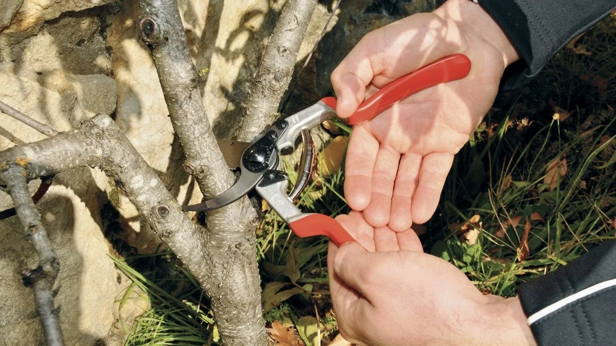 Kéo tỉa cắt cành tới phi 30mm FELCO 13