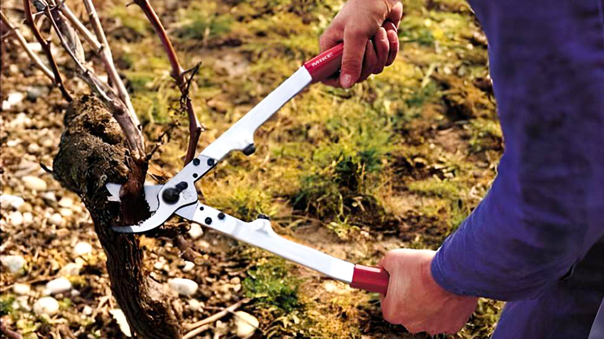 Kéo cắt cành FELCO 20 dùng 2 tay, đường kính cắt 35