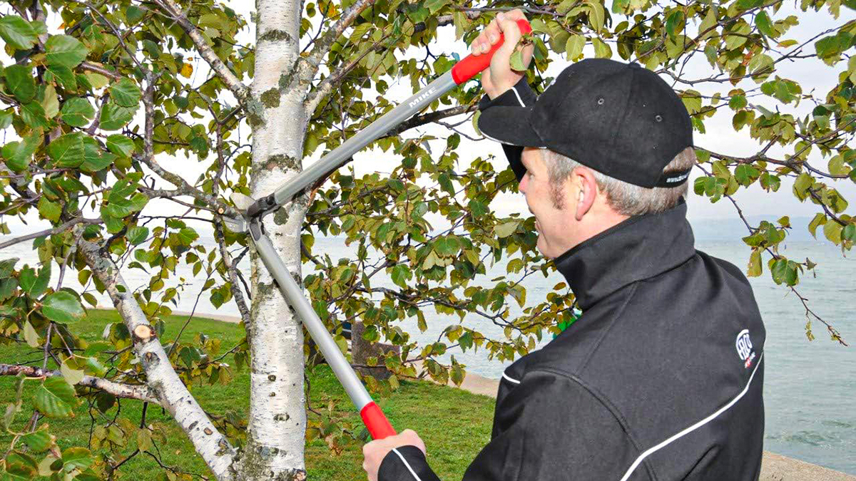 Kéo cắt cành FELCO 230 đường kính cắt tới 80mm, Thụy Sỹ<br loading=