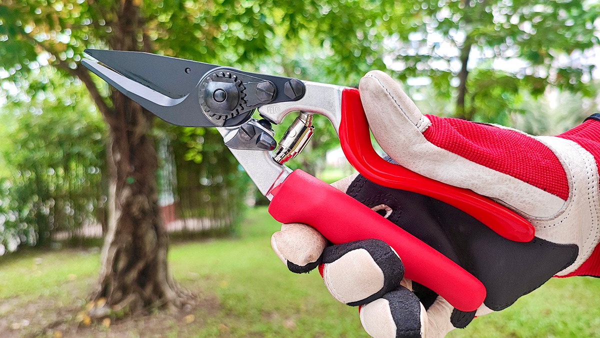 Khóa lưỡi an toàn sau sử dụng xong