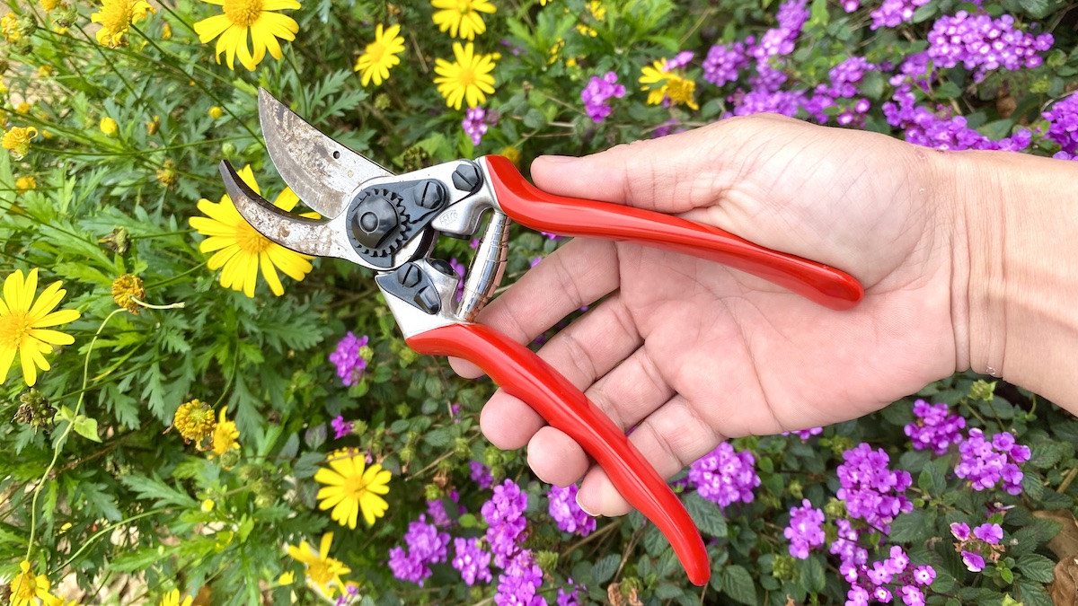 pruner shear - FELCO 11 - Swiss Made