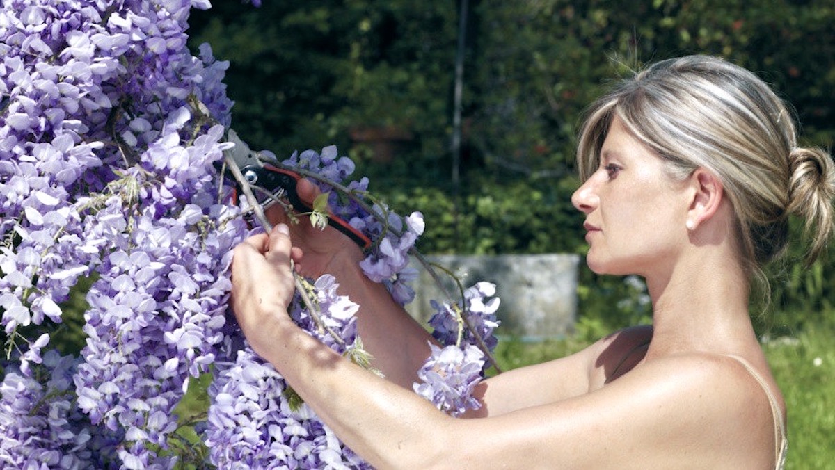 Chăm tỉa hoa bằng kéo cắt cành FELCO 160S