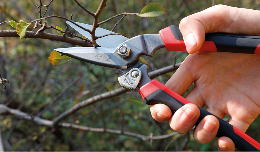 Cắt tỉa cành với keo da nang BESSEY