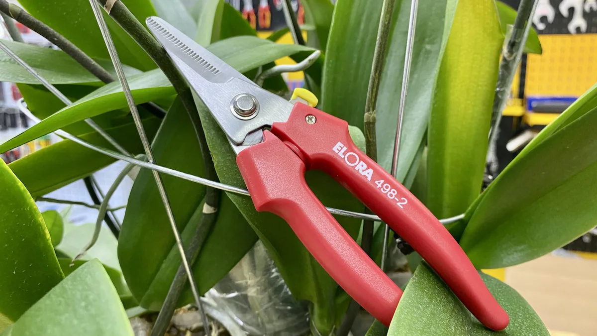 Kéo cắt tỉa cành hoa lan cây cảnh. Elora 498-2