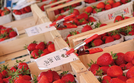 Kẹp lò xo kiểu chữ A, vật liệu bằng sắt BESSEY XM.