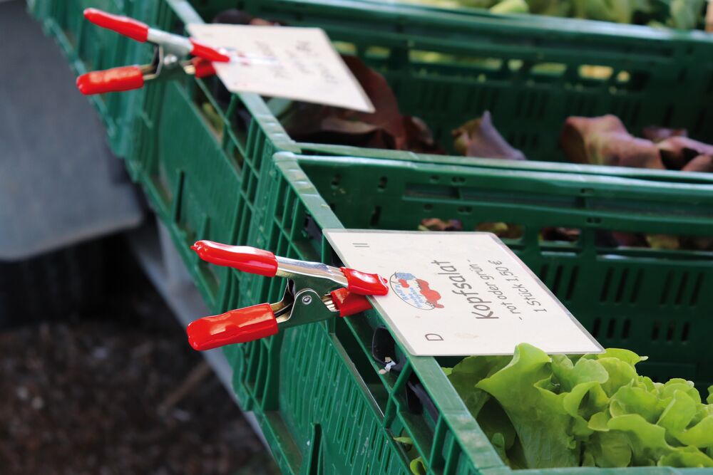 Spring clamp XM5EU in sales presenter BESSEY XM3EU-Display - 285x135x195 thumbnail 7