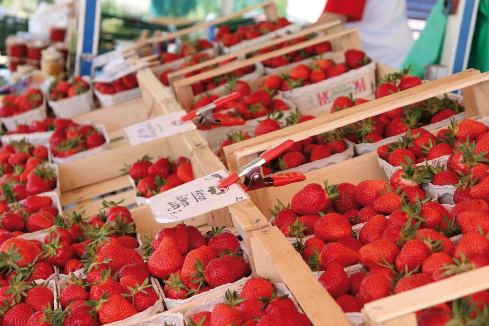 Spring clamp XM5EU in sales presenter BESSEY XM3EU-Display - 285x135x195 thumbnail 8