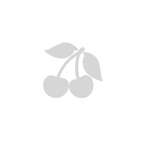 Drechslerbeitel mit Weißbuchenheftflach/schräg thumbnail 2