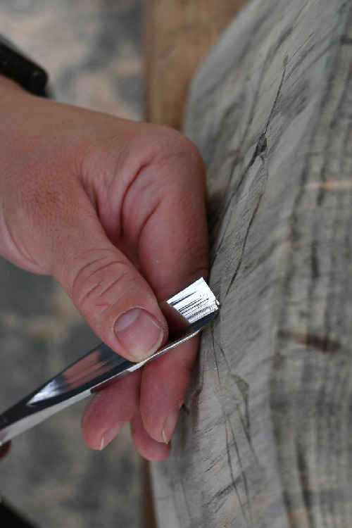 Bildhauerbeitel | Gerader GaißfußStich 39 | Achtkantform thumbnail 4