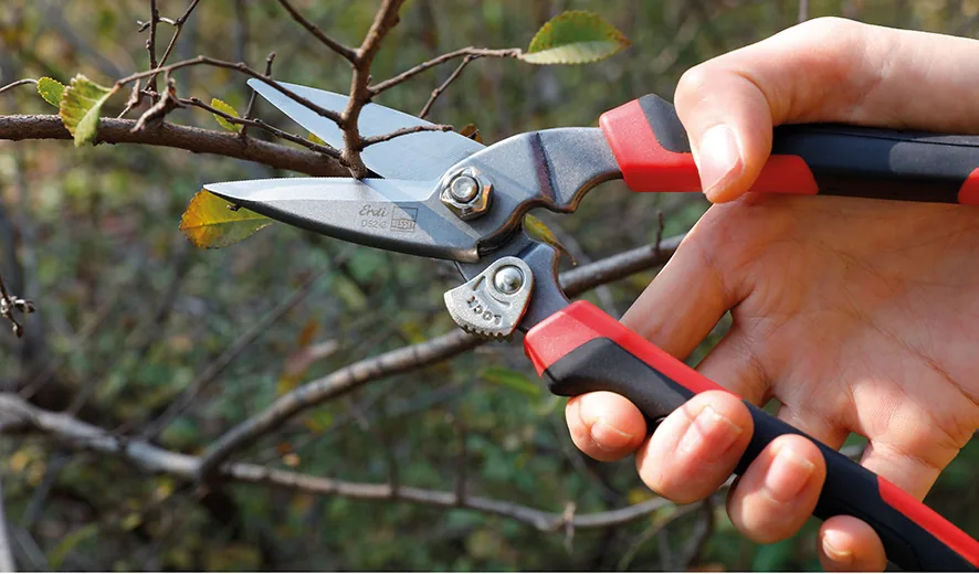 D52 2 work twig c75 keo da nang BESSEY