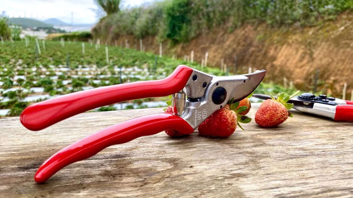 FELCO 100 2