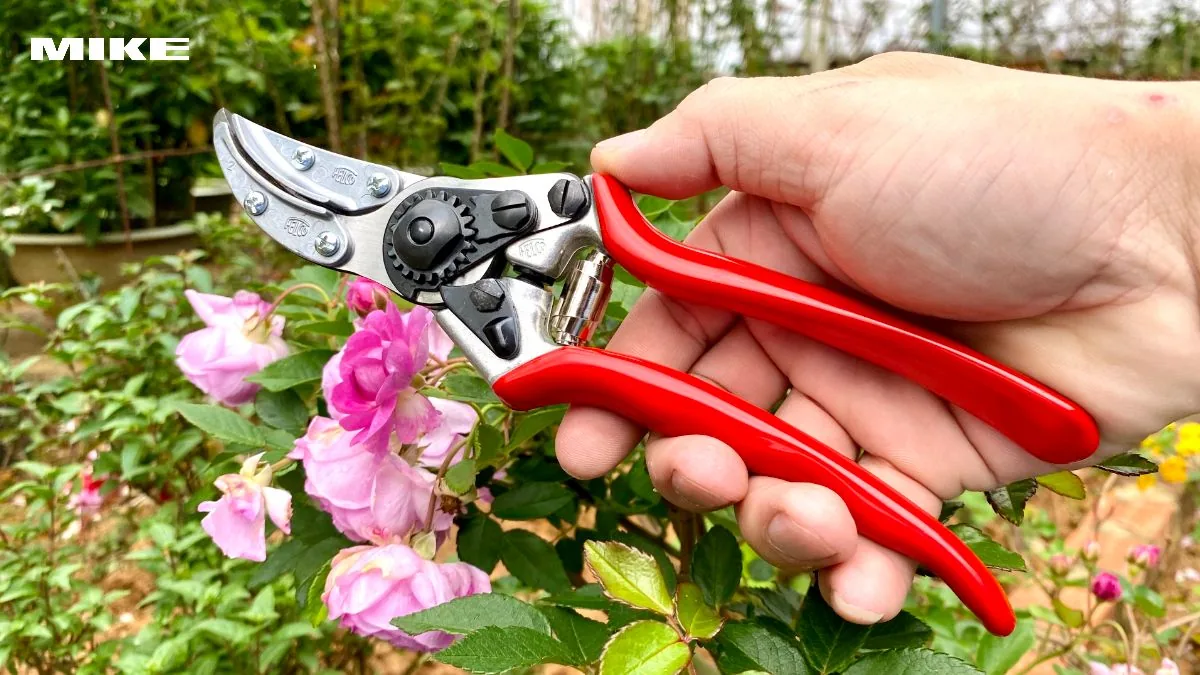 FELCO 100 3
