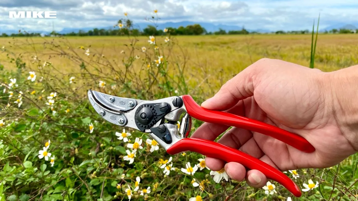 FELCO 100 5