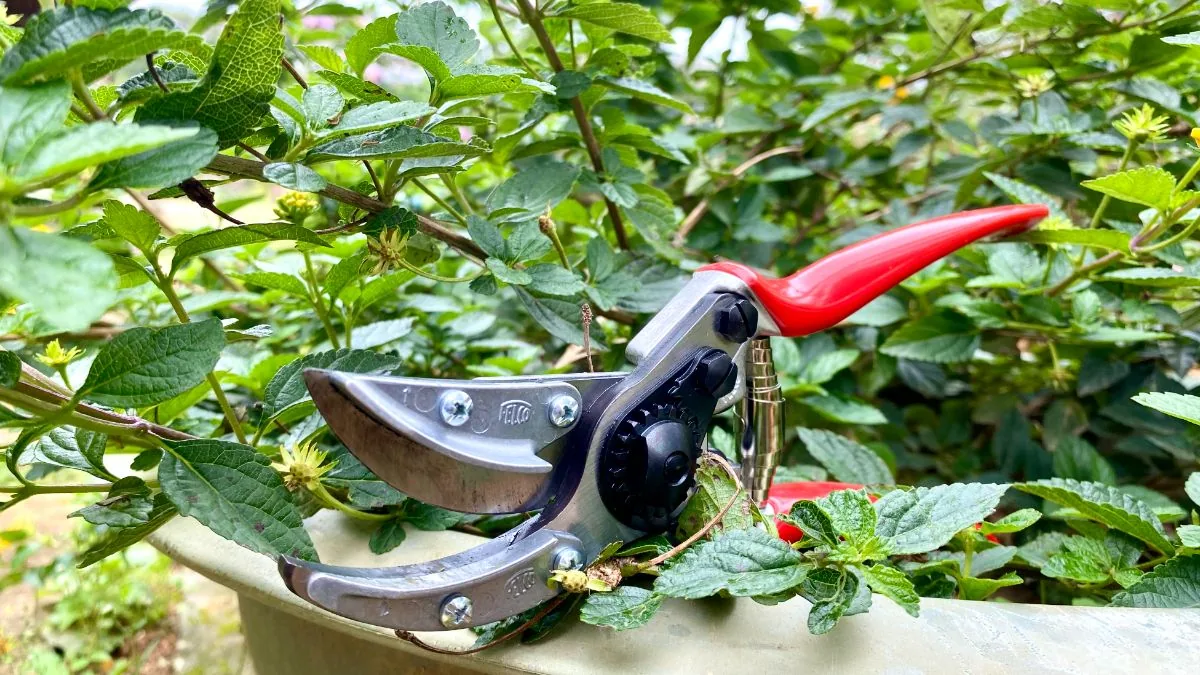 FELCO 100 8