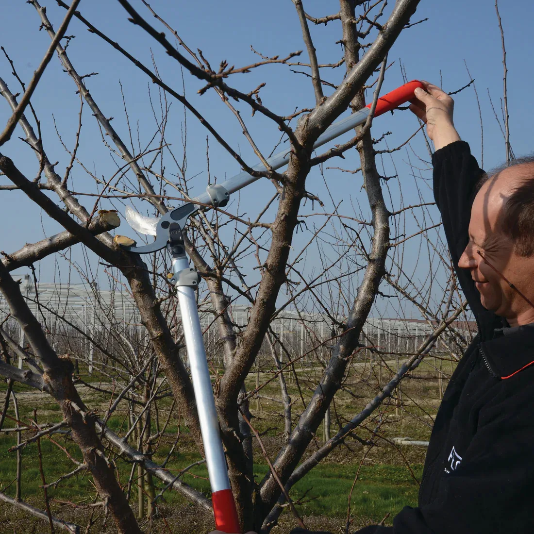 FELCO 220 ARBORICULTURE In Use 1