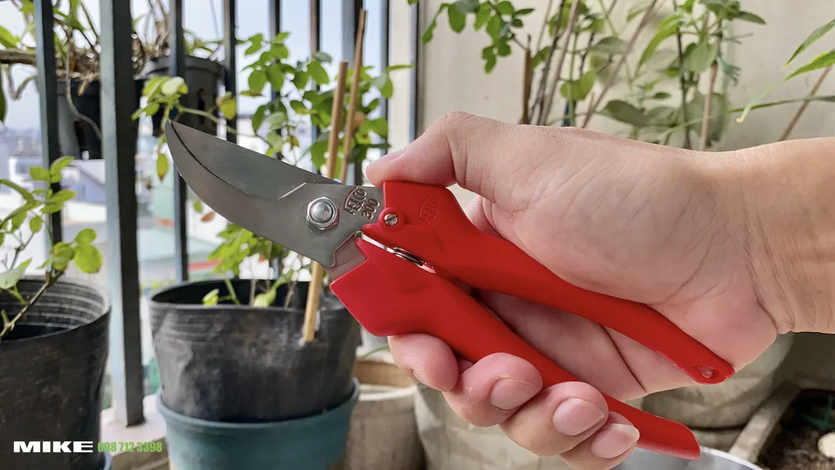 Keo cat canh FELCO 300 tỉa hoa cat trai cay Swiss Made 2036