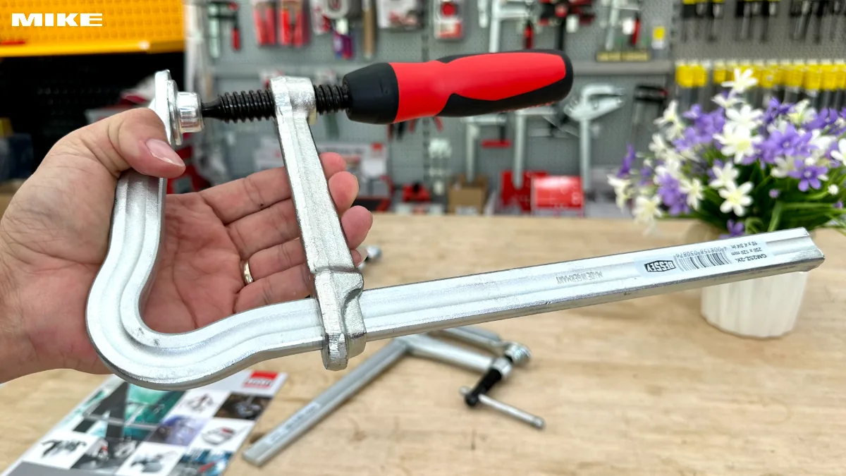Vam chu F BESSEY GMZ 2K (1)