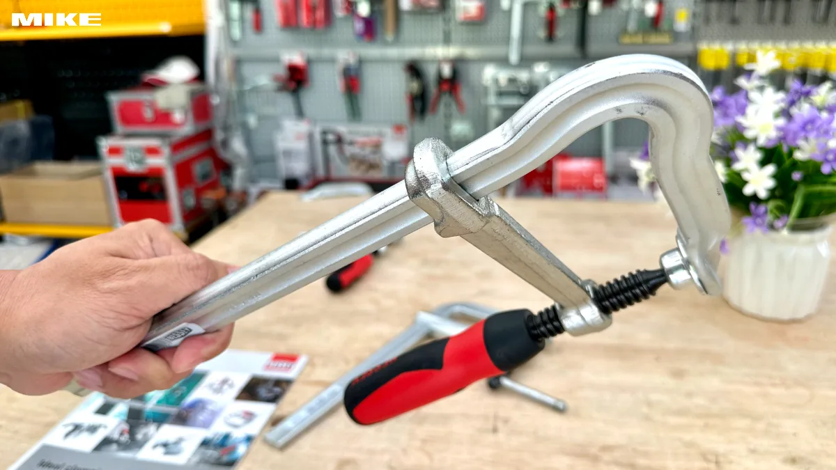 Vam chu F BESSEY GMZ 2K (2)