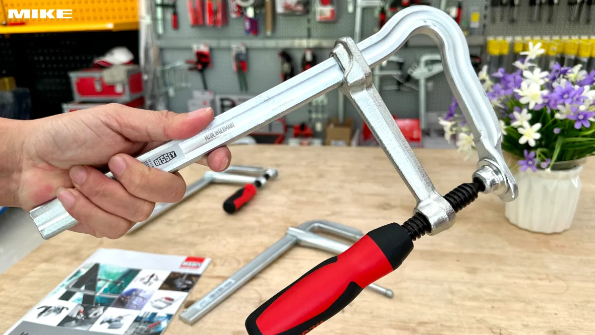 Vam chu F BESSEY GMZ 2K (3)