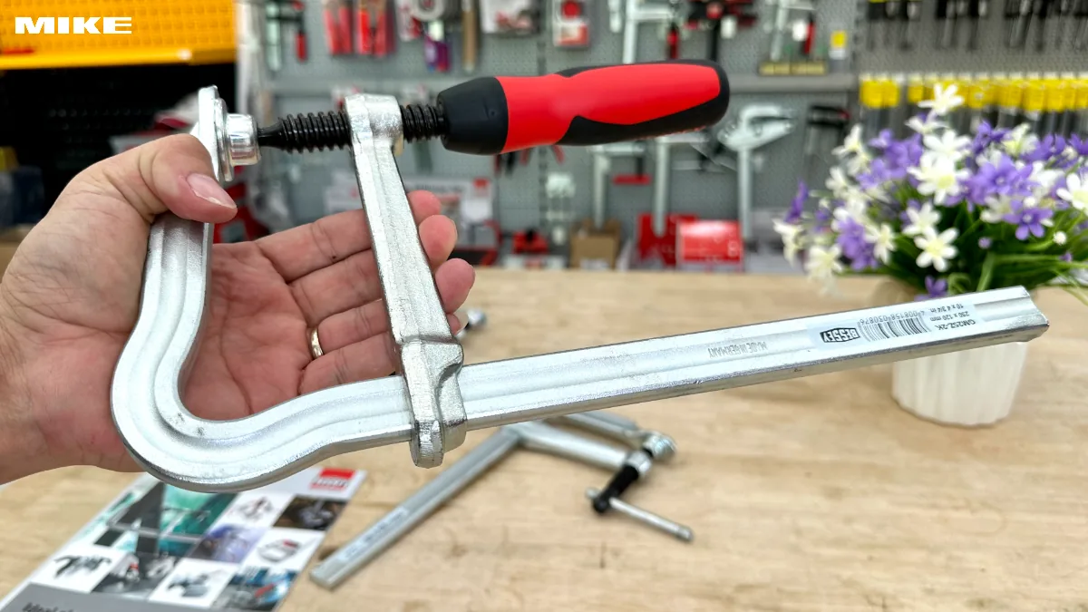 Vam chu F BESSEY GMZ 2K (5)