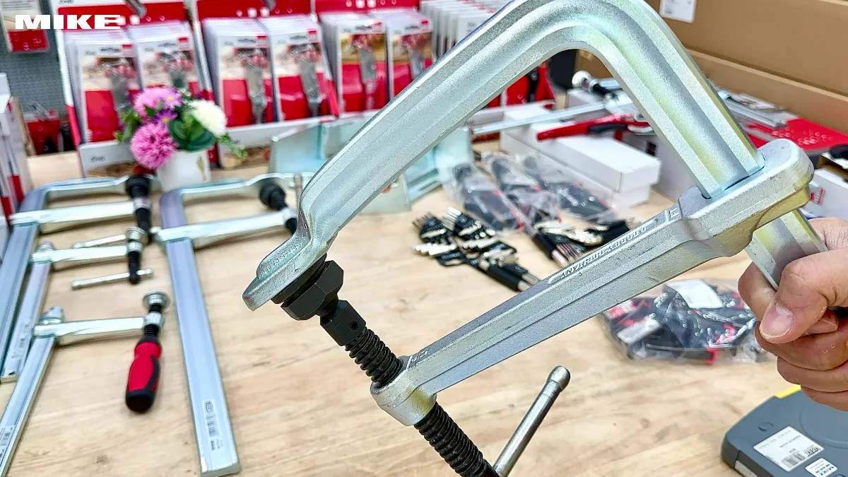 Vam chU F BESSEY SGTM (3)