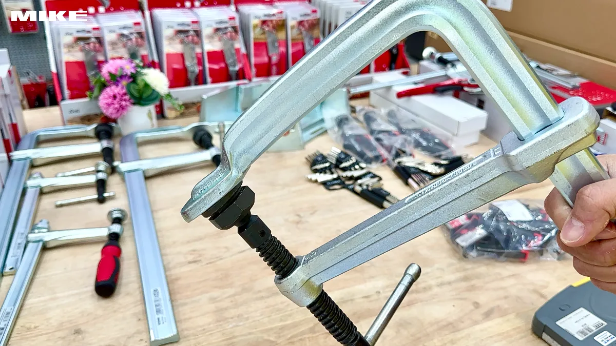 Vam chU F BESSEY SGTM (6)
