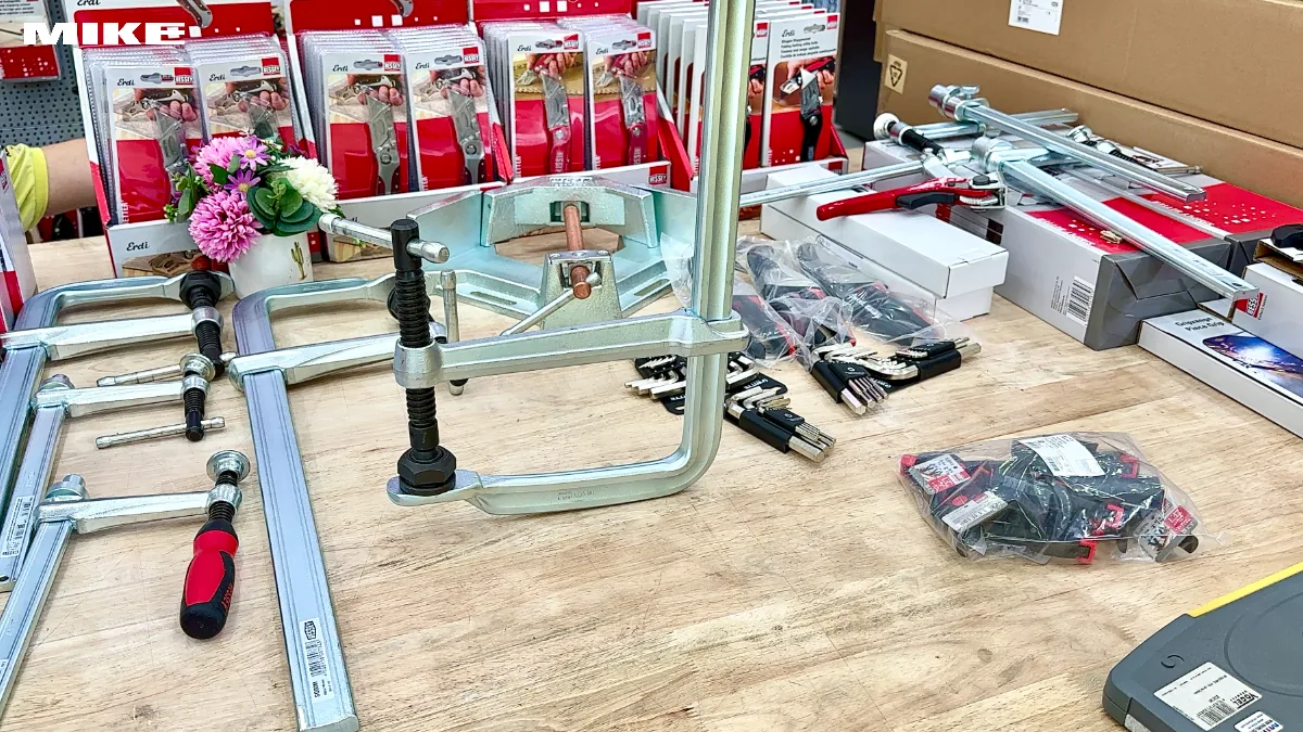 Vam chU F BESSEY SGTM (7)