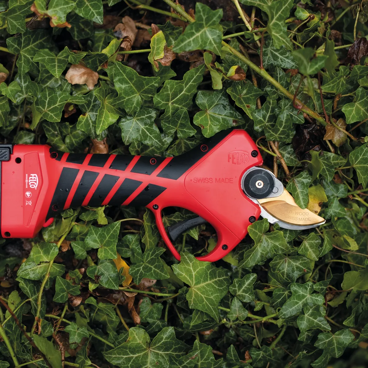 Máy cắt cành chạy pin FELCO 834W, bộ hoàn chỉnh gồm pin từ Thụy Sỹ. thumbnail 4