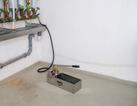 Bơm thử áp Push 60 INOX REMS 115001 R thumbnail 4