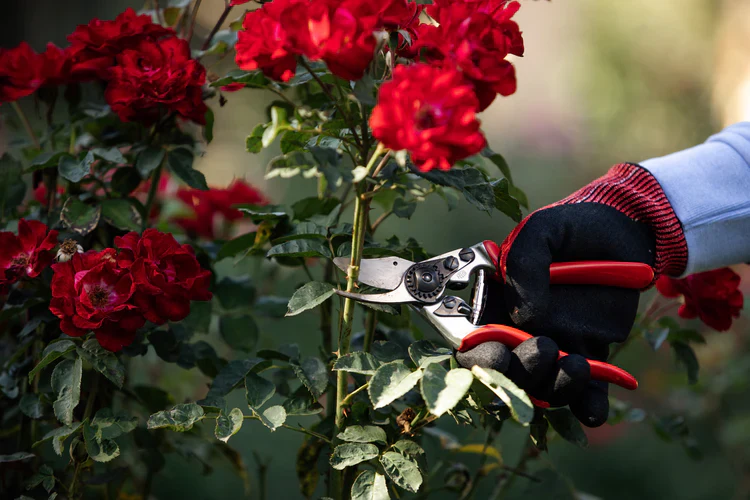 The Heavy Duty Gardener