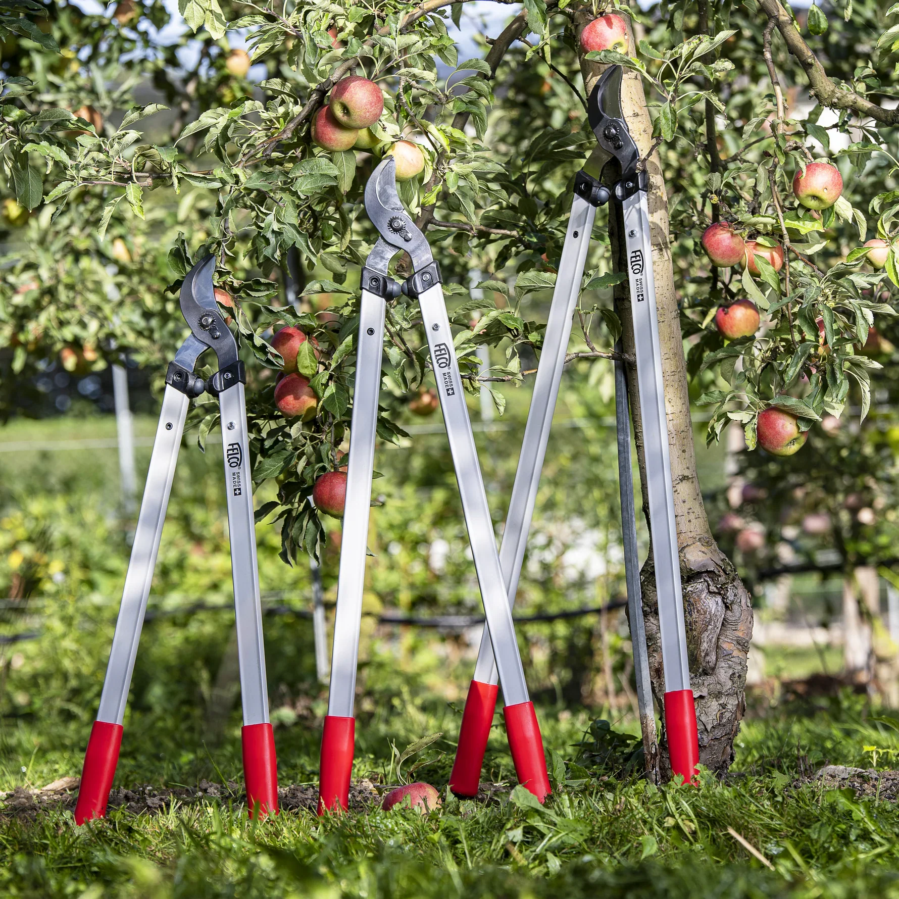 Heavy-duty pruning tool bundle The Heavy Duty saw lopper gloves thumbnail 3