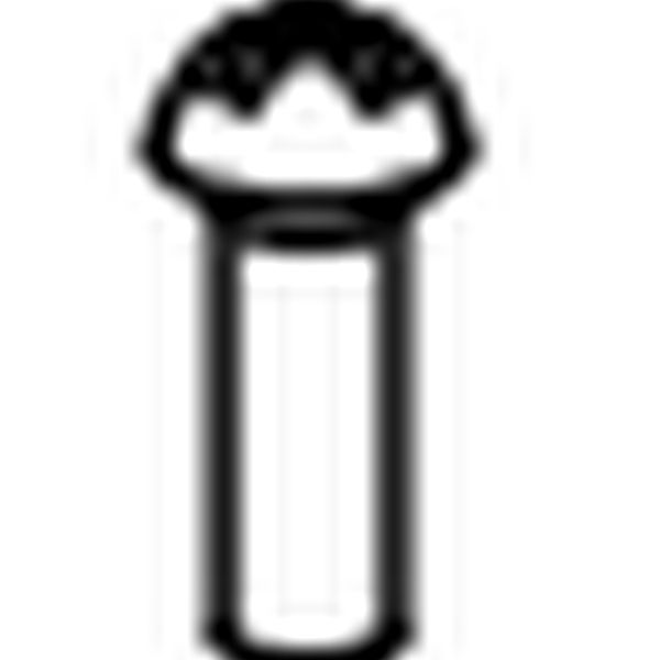 Panel screw, 4 mm. Euroboor 020.0101 - 4, 8