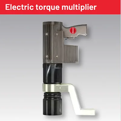Electric torque multiplier