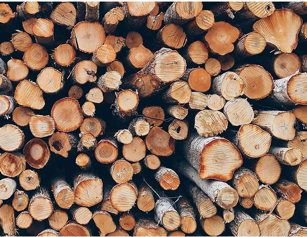 độ ẩm gỗ bao nhiêu là tốt